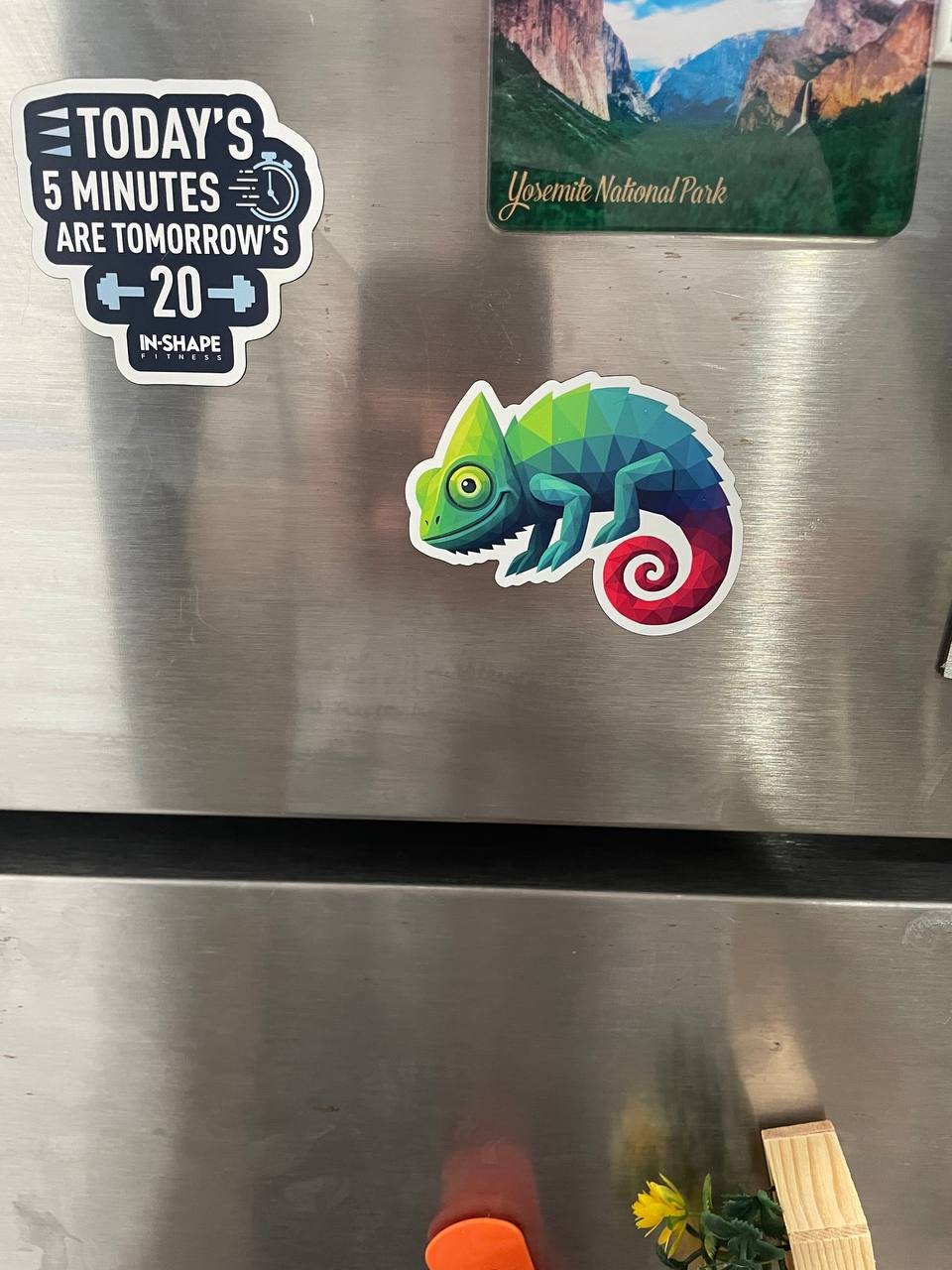 Chameleon magnet