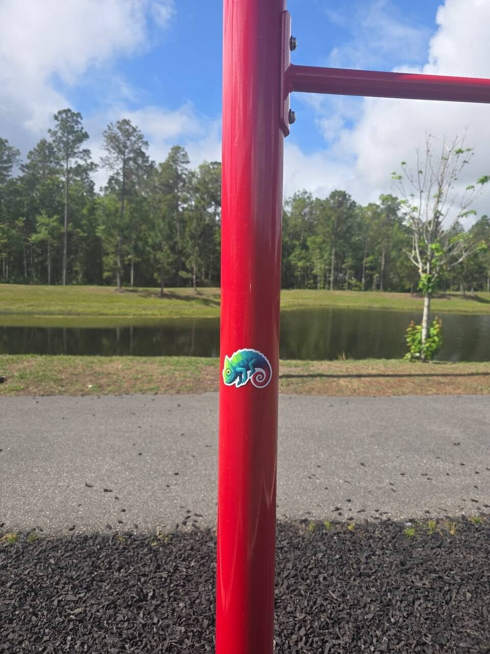 Chameleon sticker