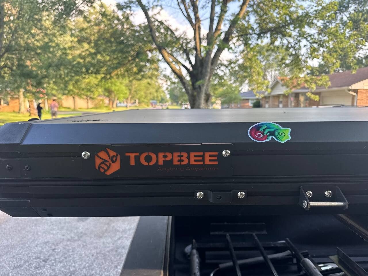 Chameleon sticker