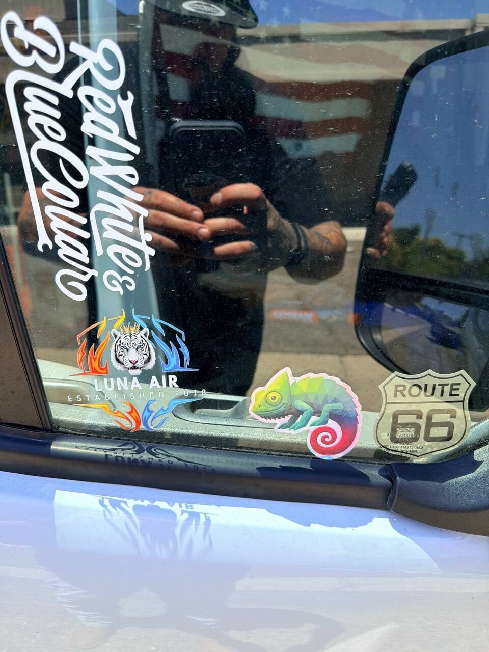 Chameleon sticker