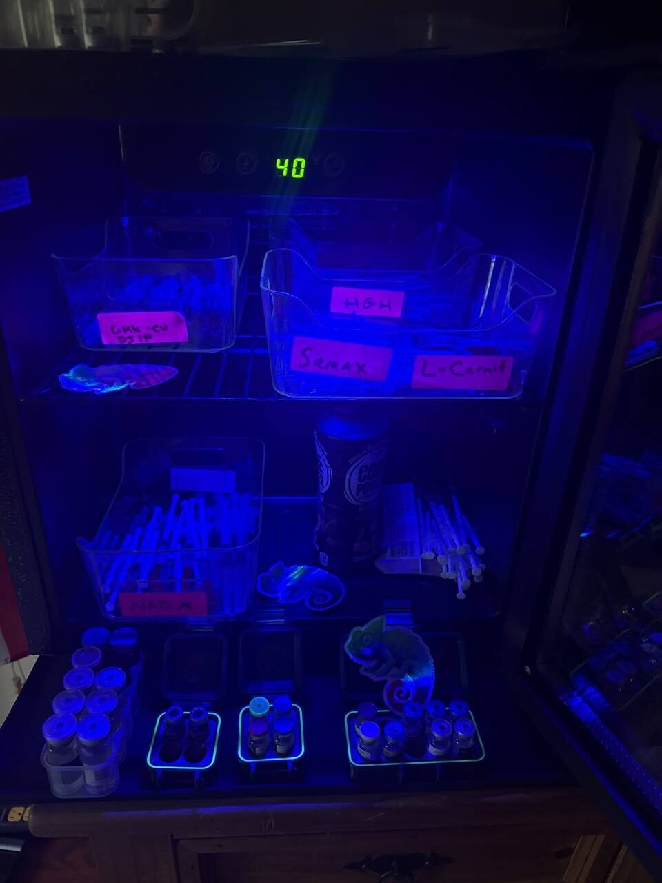 Chameleon stickers