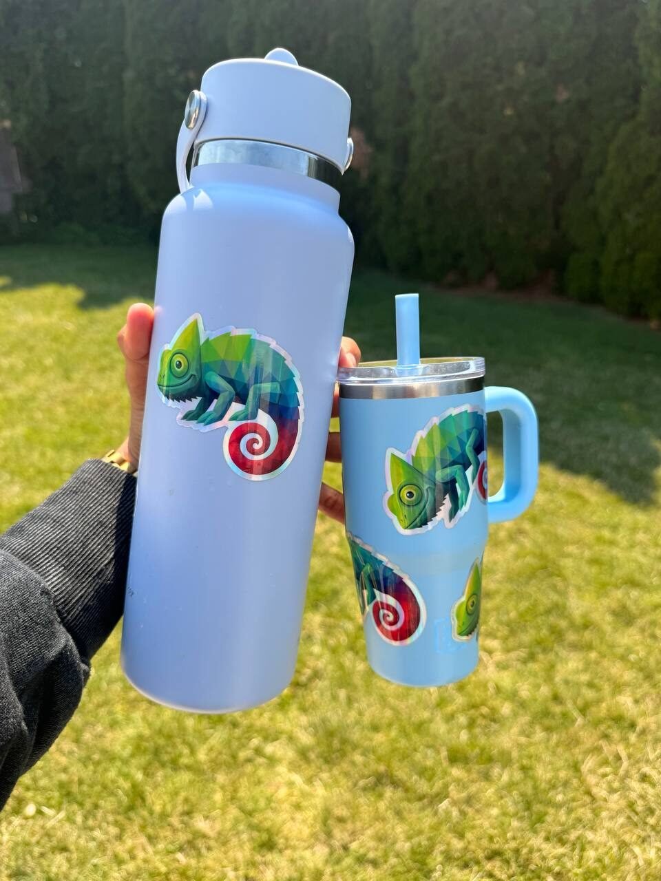 Chameleon sticker